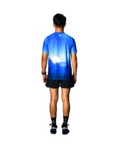 Alternative view of BLUIC